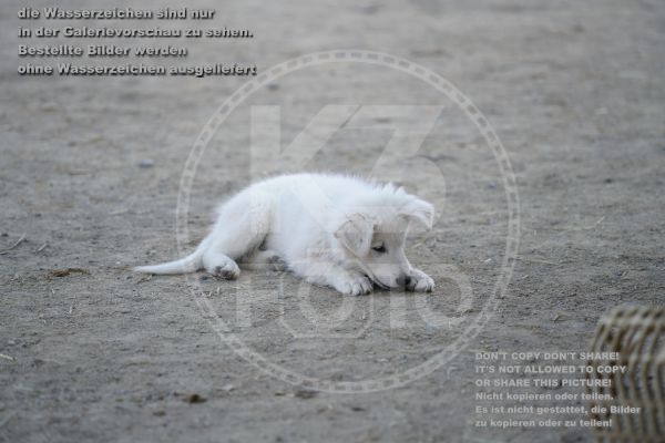s_K3F01907.jpg